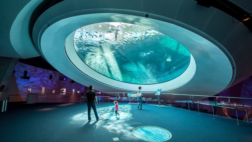 Frost Museum of Science - Miami Attractions
