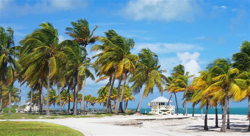 Crandon Park Beach - Miami Beaches