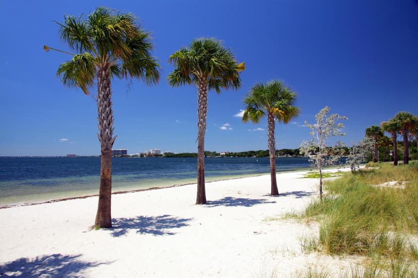 Hobie Island Beach Park - Miami Beaches