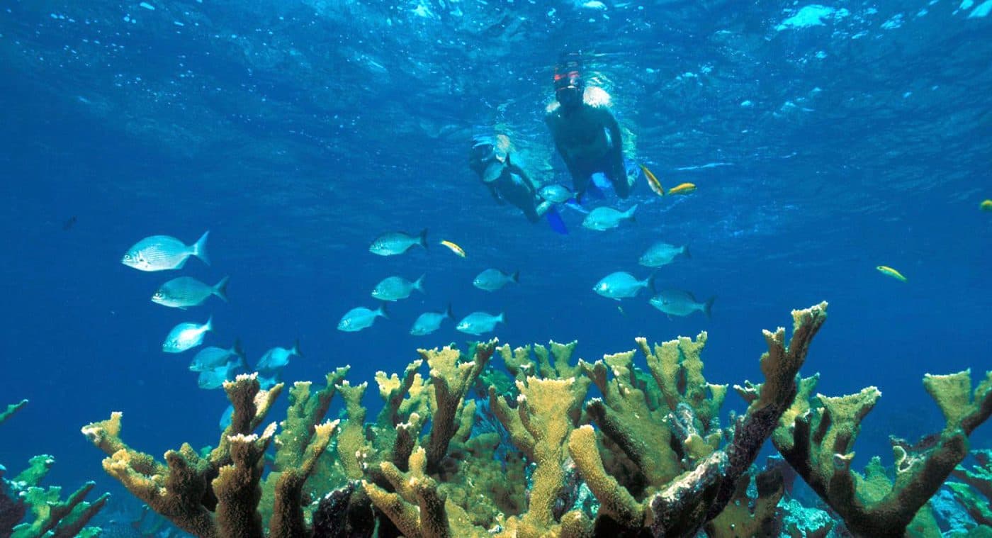 Not Feeling Miami Today? Take a Day Trip to Orlando